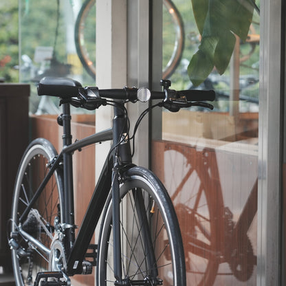 【型落ちセール！】【2025年モデル】ALTERNA FLAT