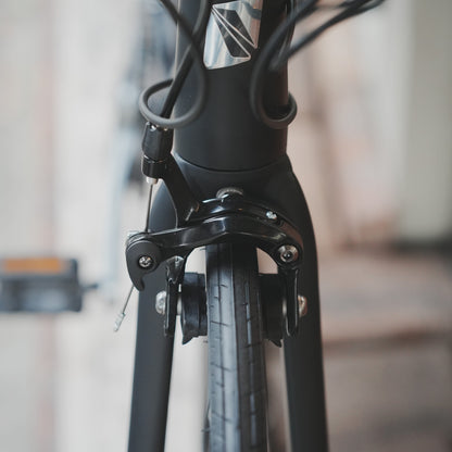 【型落ちセール！】【2025年モデル】ALTERNA FLAT