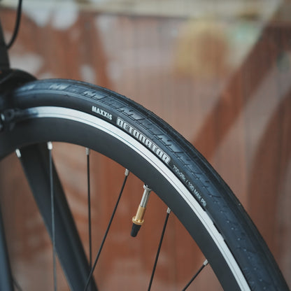 【型落ちセール！】【2025年モデル】ALTERNA FLAT