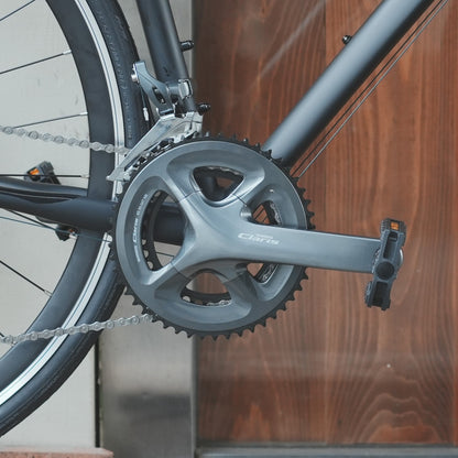 【型落ちセール！】【2025年モデル】ALTERNA FLAT