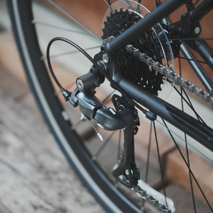 【型落ちセール！】【2025年モデル】ALTERNA FLAT