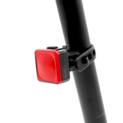 EBL-3360