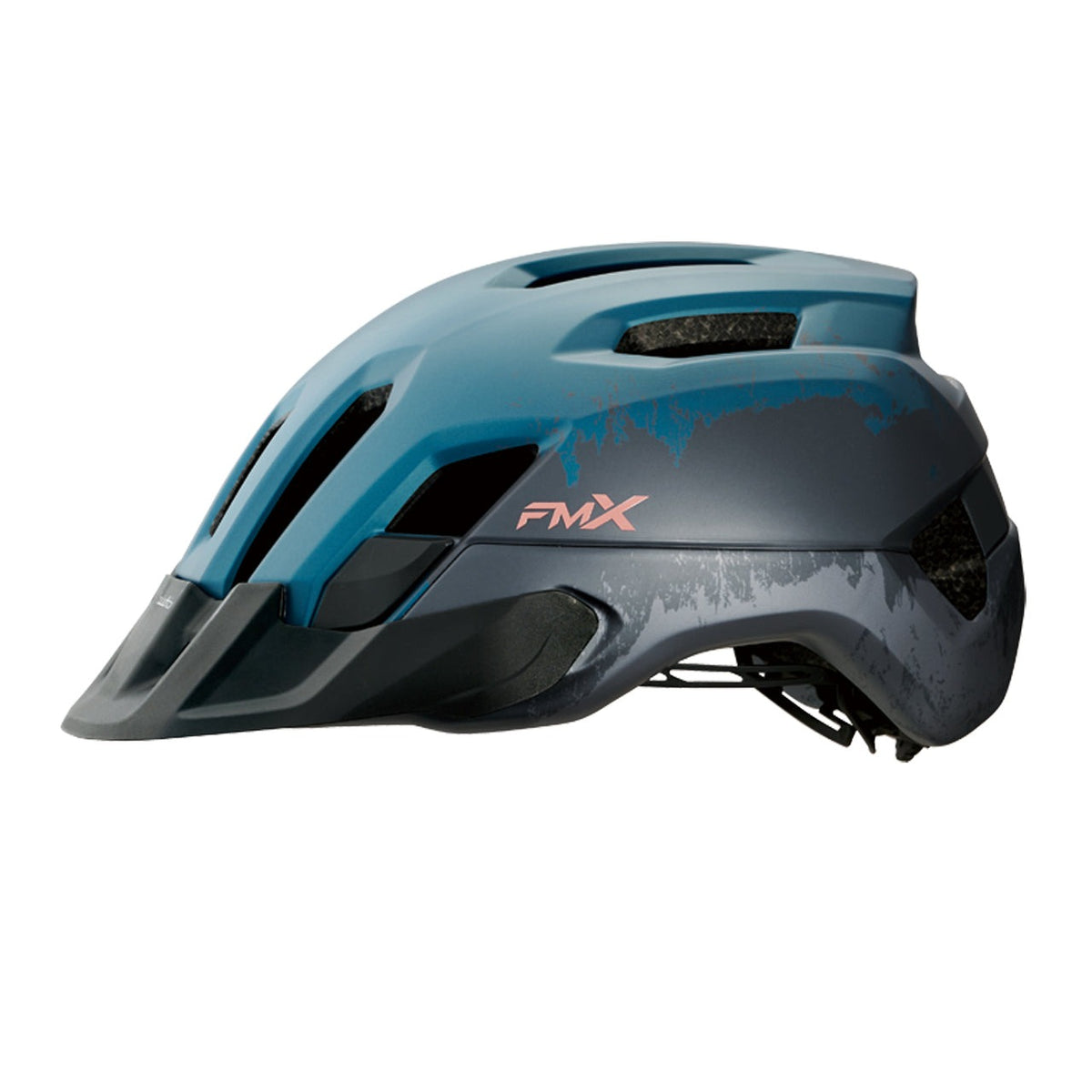 FM-X