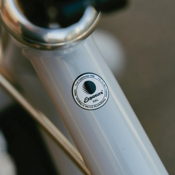 Exposure - Trail Commuter Frame Set