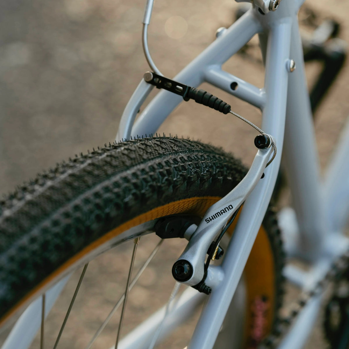 Exposure - Trail Commuter Frame Set