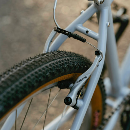 Exposure - Trail Commuter Frame Set