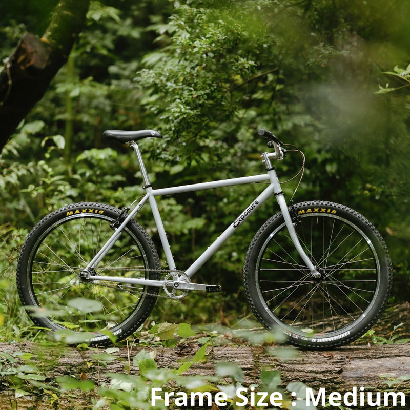 Exposure - Trail Commuter Frame Set