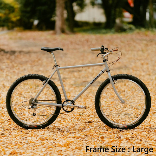 Exposure - Trail Commuter Frame Set