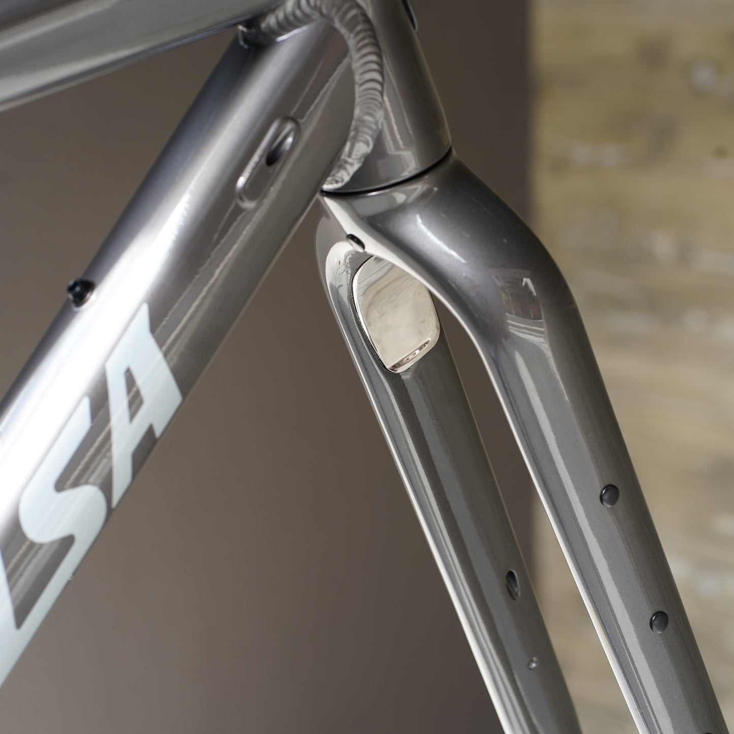 STORMCHASER（Frame Fork） Salsa シングルスピードグラベル グラベルフレームセット Warbird アルミグラベルバイク グラベルレース オルタネータードロップアウト