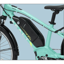 XEALT SJF PHOTO COLLECTION