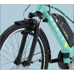 XEALT SJF PHOTO COLLECTION