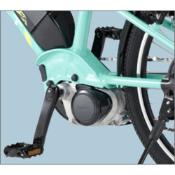 XEALT SJF PHOTO COLLECTION